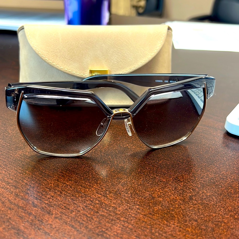Brand new never worn Chloe Marchon sunglasses. Comes with Chloe case
